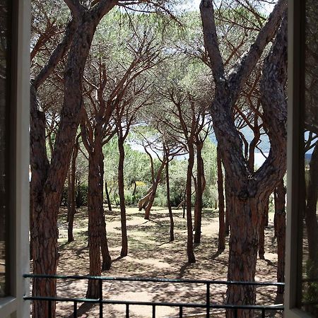 מרינה די קמפו Hotel Villa Nettuno מראה חיצוני תמונה