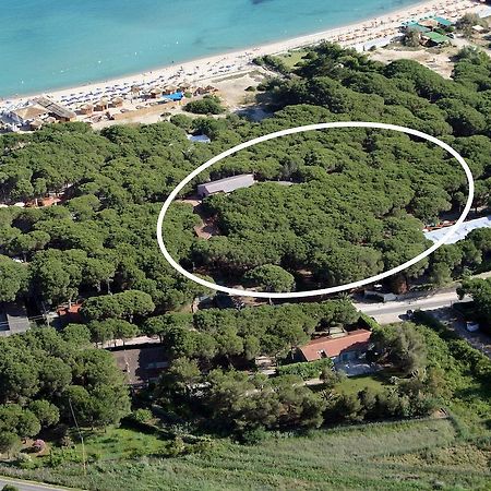 מרינה די קמפו Hotel Villa Nettuno מראה חיצוני תמונה