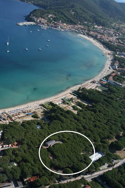 מרינה די קמפו Hotel Villa Nettuno מראה חיצוני תמונה